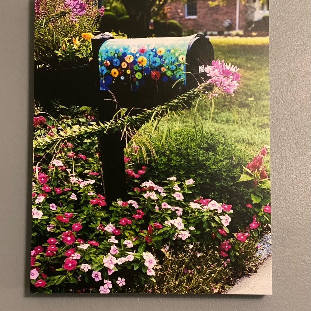 11 x 14 Lovely Day in the Neighborhood photograph by Ashley Miles